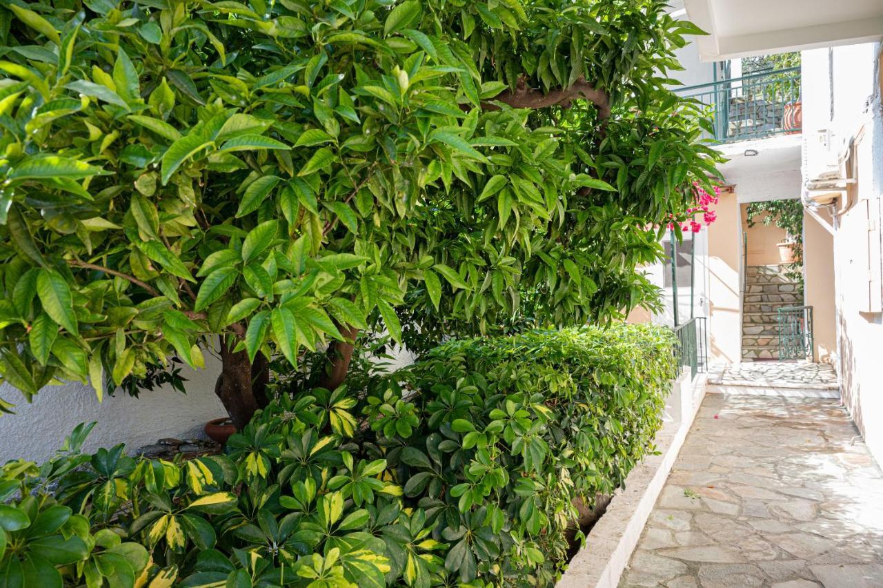Villa Sofia Sea View Poros Town Dış mekan fotoğraf